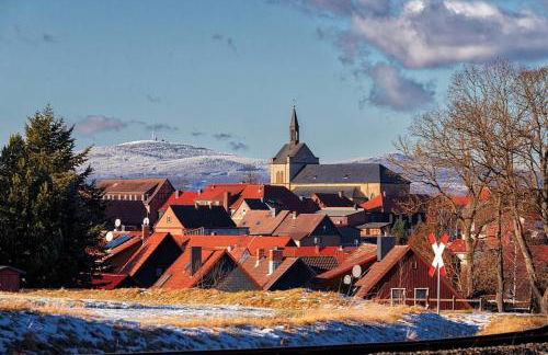Ferienhaus Nr 32, Typ A, Ferienanlage Blauvogel, Hasselfelde, Harz - Foto 39