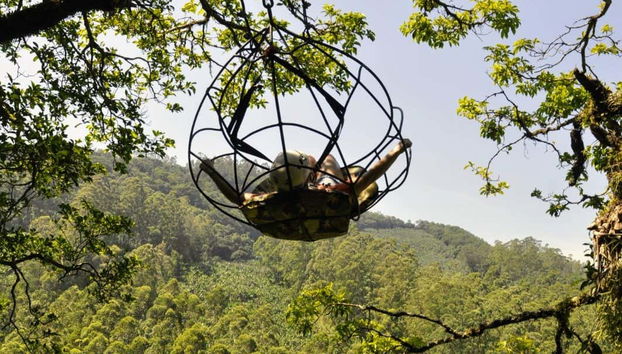 An unforgettable experience