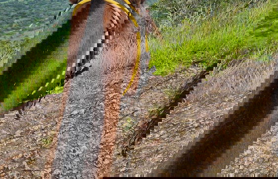 finca recreacional la fortaleza - Foto 43