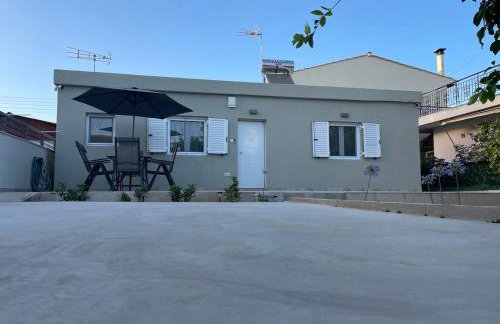 Limone d'oro - Foto 24