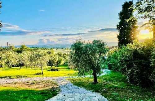 Agriturismo CasaViVa - Photo 55