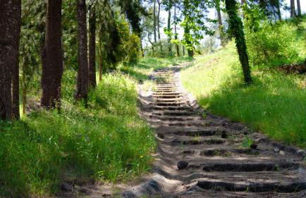 Quinta da Serrana - Foto 20