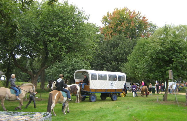 Holiday Home in Soerendonk With Garden - Foto 33