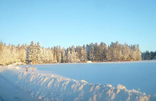 Chickenhill Blackforest, große Ferienwohnung im Schwarzwald - Foto 34