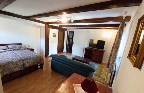 Ferienwohnungen Bernsdorfer Straße Chemnitz - zentrumsnah, teilweise mit Balkon oder Terrasse, große Parkanlage - ideal für Familien, Paare und Geschäftsleute - Foto 4