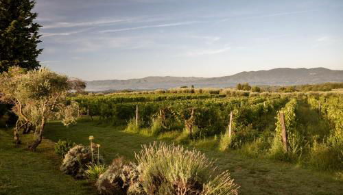 Agriturismo San Jacopo - Foto 4