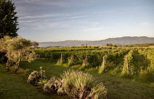 Agriturismo San Jacopo - Foto 4