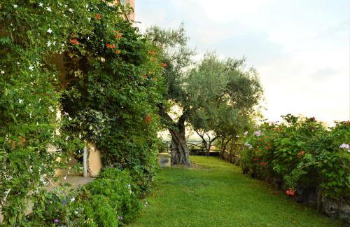 Antico Borgo Etneo Country Hotel - Foto 120