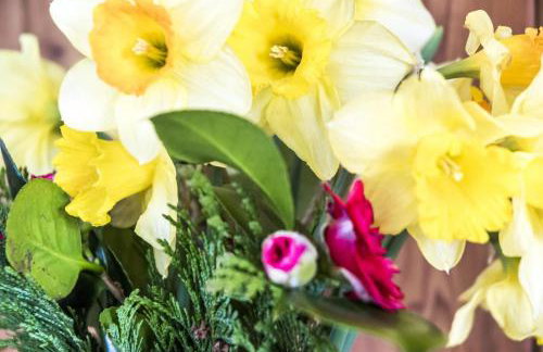 Ashgrove Farm - 1 Bedroom Apartment - Llawhaden - Narberth - Foto 67