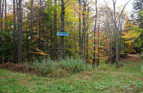 Ski in & out Spruce Glen Townhomes on Great Eastern Trail - Foto 54