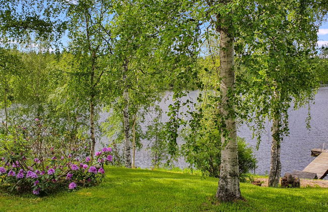 Rinne-expertti - Foto 5