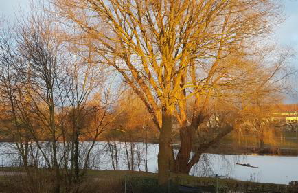 Haus am See - Urlaub im Herzen des Münsterlands - Foto 8