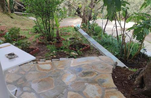 Colors Apartments Pilio - Photo 37