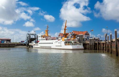 Deichknutt Watt - Foto 12