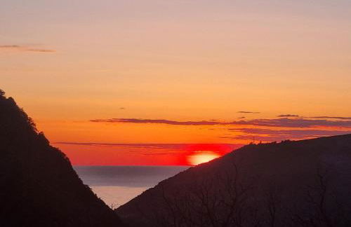 LOCATION CORSE - Foto 23