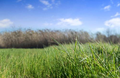 Moncofa Vistas Mar - Ideal Parejas - Foto 38