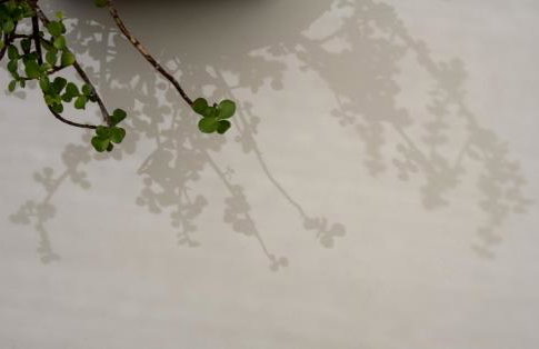 Lu rusciu te lu mare - Foto 32