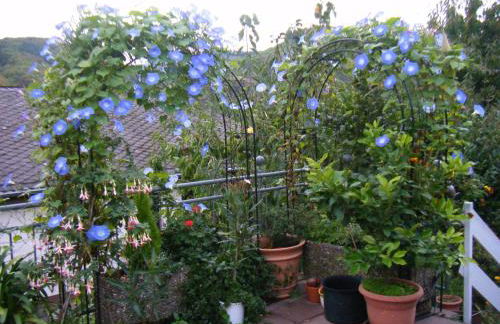 Ferienwohnung M. Lemmermeyer - Foto 10