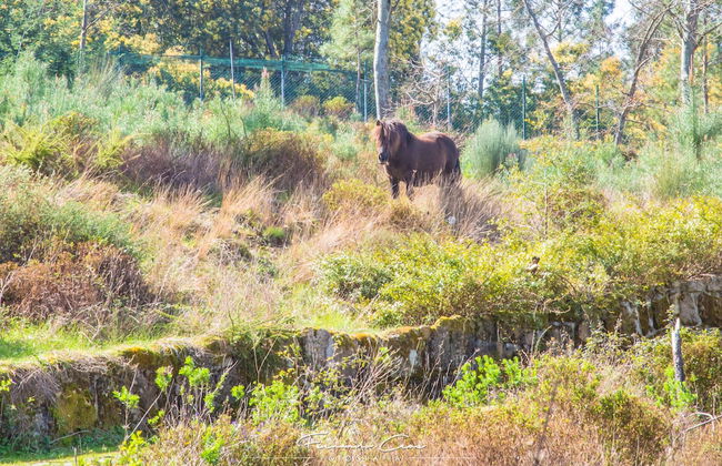 Hotel Pantanha Nature & Fitness - Foto 34