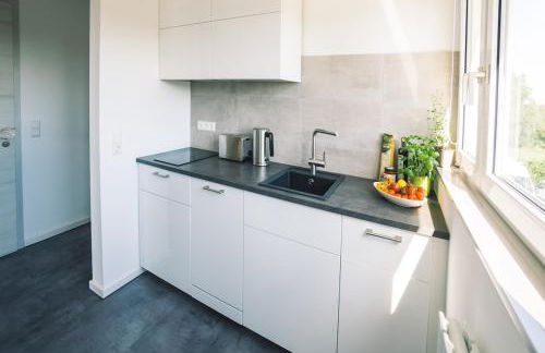 Vintage Apartment Schwetzingen - 2 Zimmer - Küche, Bad & Balkon - Foto 6