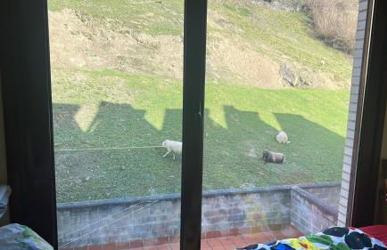 Apartamento Asturias - Foto 14