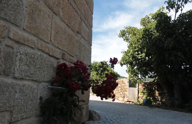 Casa Grande do Seixo - Photo 41