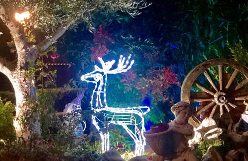 Lugar Meluerda - Foto 18