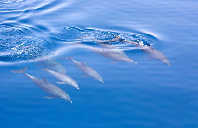 Ingenia Holidays Eden Beachfront - Photo 69