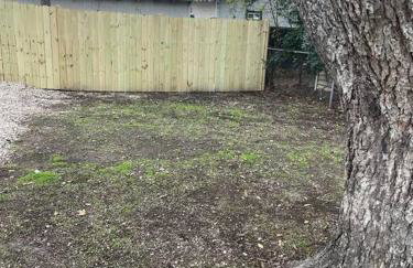 Cacti - Cactyou - Cactus - Foto 9