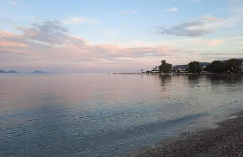 O Xenonas Ton Mylon - Photo 51