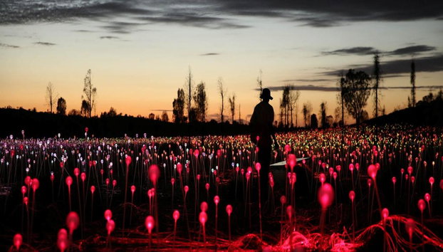 Uluru Sonnenaufgang und Field of Light – Tour in kleiner Gruppe - Foto 3