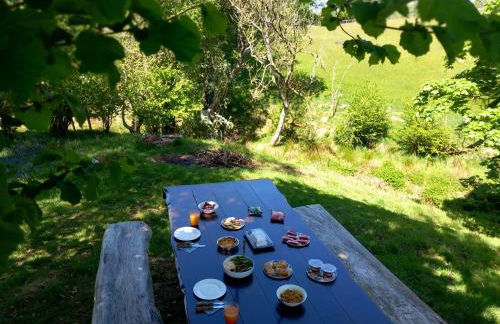 Bryn Y Garreg Cottage - The Wireless Tech Free Farm - Photo 38