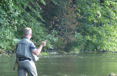 Pension Waldfrieden - Foto 13