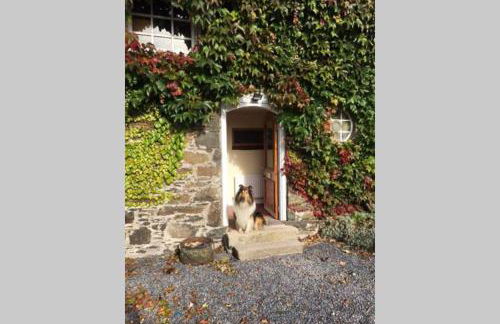 The Byre (Unusual and Different). - Foto 30