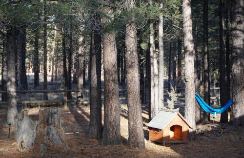Beautiful Log home outside of Sisters - Foto 25