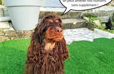 Gîte Les Galins - Foto 7