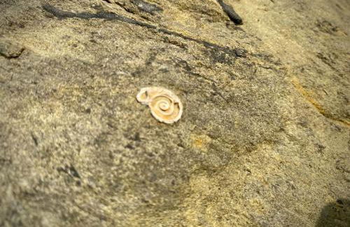 Relaxing private entrance ensuite room with stunning sea view and swimspa - Photo 25
