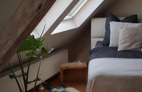 Wellness Suiten mit Whirlpool am Stadtrand von Essen - Foto 3