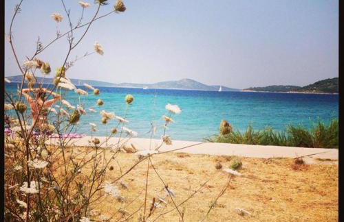 D HOUSE authentic Zlarin house, relaxing courtyard and terrace - Photo 30