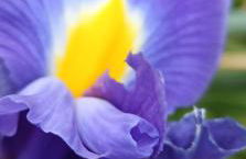 Valle del Tione-prenotazioni singole- - Foto 3