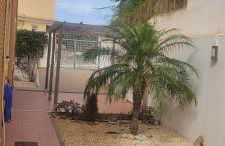 Escapada de tranquilidad junto al Cabo Cope - Foto 26