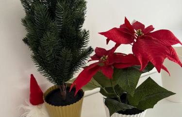 Studio grande terrasse 2 min plage & commerces - Foto 23