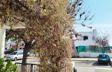 The South Sunny House - A Casa a Sul - Foto 58