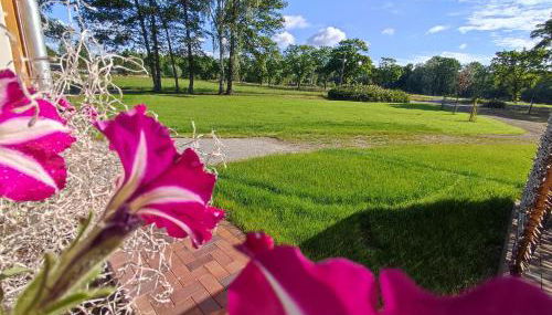 Ferienwohnung - Am Tannenwald - Foto 4