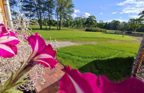 Ferienwohnung - Am Tannenwald - Photo 4