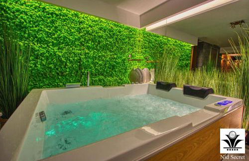 Panoramique 180 lac et montagne et Nid Secret spa romantique - Foto 24