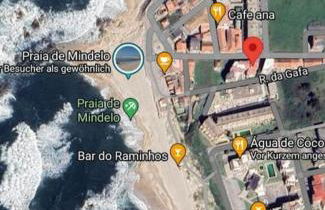 MindeloThePalm - Foto 36