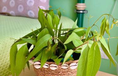 Casa MARINA - Photo 17