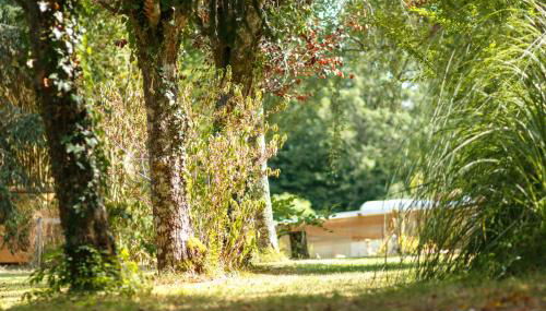 L'Envol - Oasis Ressource - Foto 3