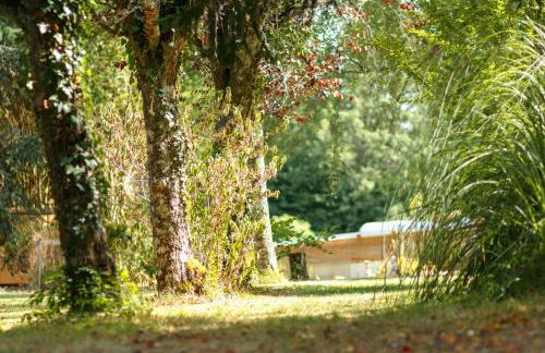 L'Envol - Oasis Ressource - Foto 3